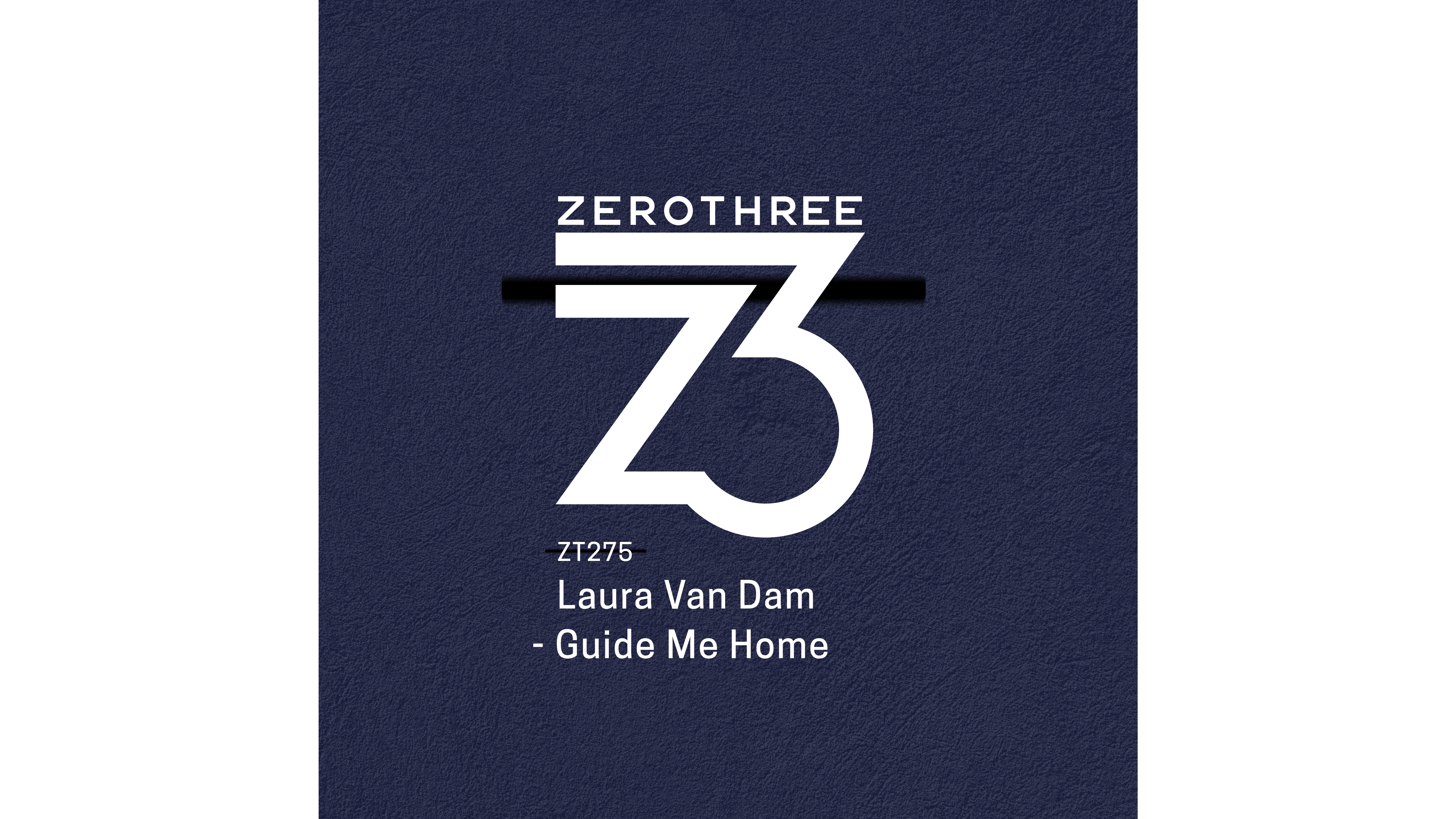ZT275-Guide-Me-Home-
