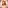 Terr artist cover