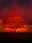 Circo Loco Pyramid Beatport