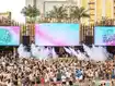 Palm Tree Beach Club