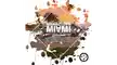 Miami Sessions Cover Template 4 16x9