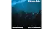 Benny Benassi 2 C Felix Da Housecat Chicago Baby 16x9 1