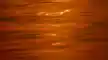 DRT Sisi Banner