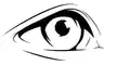 Logo Blue Iris Solo