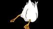 Quack Squawk Honk Logo