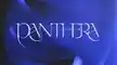 Logo Insta